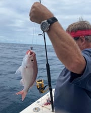 Redfish fishing in Wilmington, North Carolina