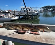 Fishing in St. Augustine, Florida
