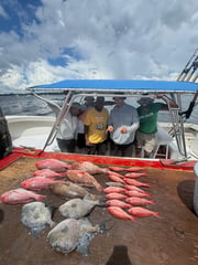 Fishing in Panama City Beach, Florida