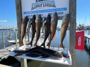 Fishing in Gulfport, Mississippi