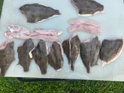 Fishing in Galveston, Texas