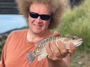 Fishing in Sarasota, Florida
