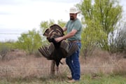 Hunting in Abilene, Texas