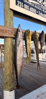 Fishing in Orange Beach, Alabama