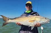 Redfish Fishing in Aransas Pass, Texas