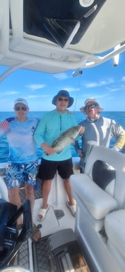 Fishing in Sarasota, Florida