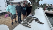 Fishing in Gulf Shores, Alabama