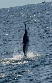 Fishing in Ocean City, Maryland