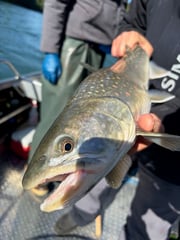 Fishing in Snohomish, Washington
