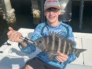 Fishing in Port Charlotte, Florida