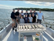 Fishing in Marathon, Florida