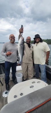 Fishing in Dadeville, Alabama
