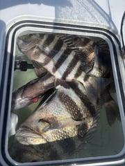 Fishing in Morehead City, North Carolina