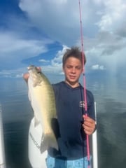 Fishing in Islamorada, Florida
