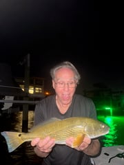 Fishing in Indian Rocks Beach, Florida