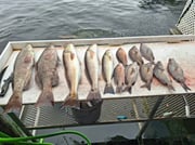 Fishing in Crystal River, Florida