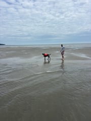 Tours in Hilton Head Island, South Carolina