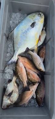 Fishing in Vero Beach, Florida