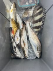 Fishing in Matagorda, Texas