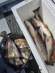 Fishing in Port Isabel, Texas
