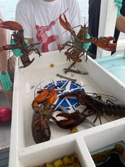 Fishing in Hampton, New Hampshire