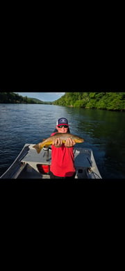 Fishing in Cotter, Arkansas