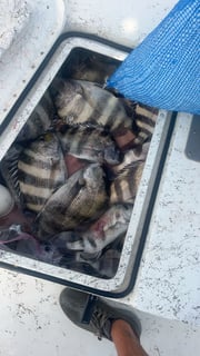 Fishing in Biloxi, Mississippi