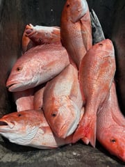 Fishing in Port O'Connor, Texas