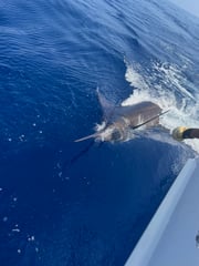 Fishing in Kaiminani, Hawaii