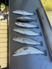 Fishing in Galveston, Texas