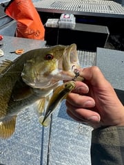 Fishing in Snohomish, Washington