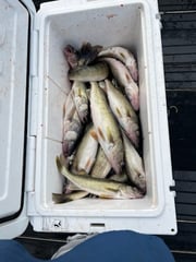 Fishing in Conneaut, Ohio