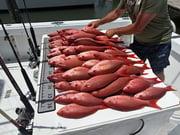 Fishing in Gulf Shores, Alabama