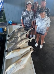 Blacktip Shark, Redfish fishing in Galveston, Texas
