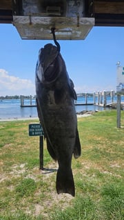 Fishing in Jacksonville, Florida