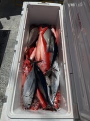 Fishing in Islamorada, Florida