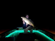Fishing in Powersite, Missouri