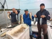 Fishing in Mastic, New York