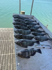 Fishing in South Padre Island, Texas
