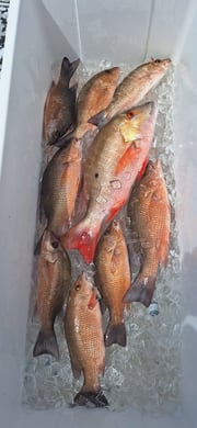 Fishing in Vero Beach, Florida