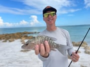 Fishing in Sarasota, Florida