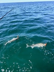 Fishing in Truro, Massachusetts