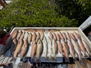 Fishing in Marathon, Florida