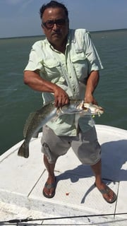 Fishing in South Padre Island, Texas