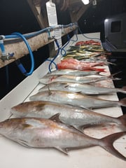 Fishing in Orange Beach, Alabama