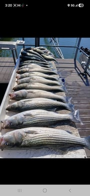 Fishing in Kingston, Oklahoma