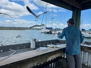 Fishing in Rockport, Texas