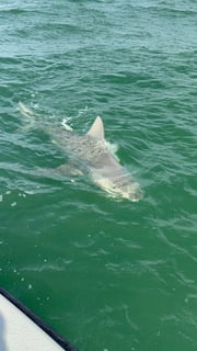 Fishing in Bradenton, Florida