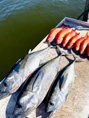 Fishing in Stuart, Florida