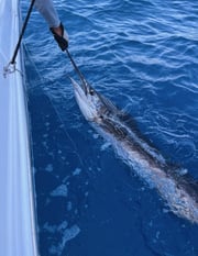 Fishing in Stuart, Florida